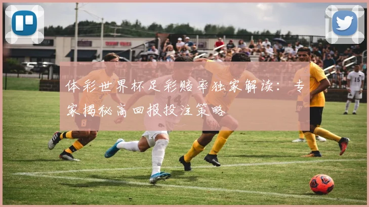 体彩世界杯足彩赔率独家解读：专家揭秘高回报投注策略