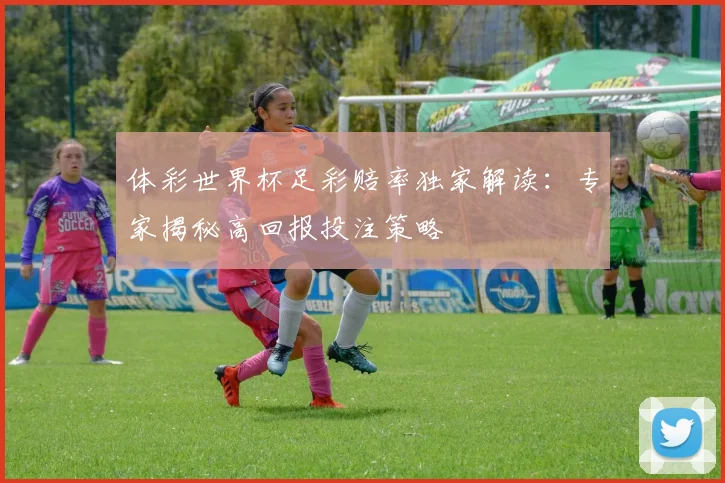 体彩世界杯足彩赔率独家解读：专家揭秘高回报投注策略