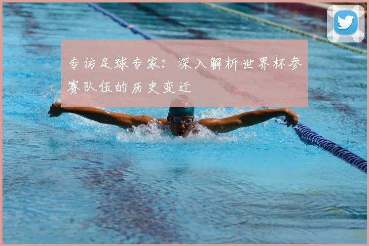 专访足球专家：深入解析世界杯参赛队伍的历史变迁