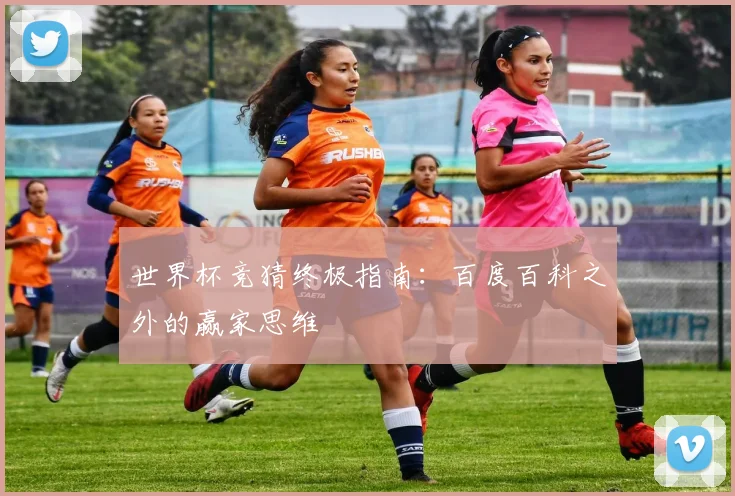世界杯竞猜终极指南：百度百科之外的赢家思维