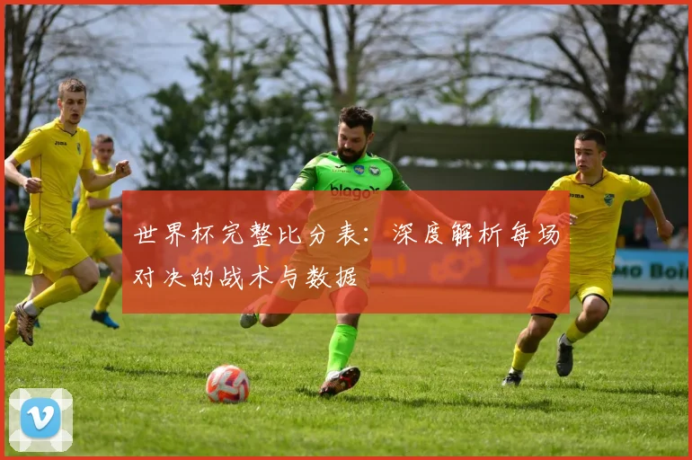 世界杯完整比分表：深度解析每场对决的战术与数据