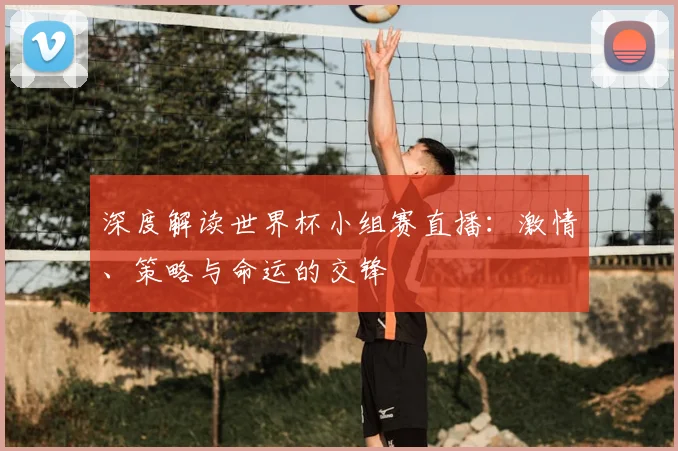 深度解读世界杯小组赛直播：激情、策略与命运的交锋
