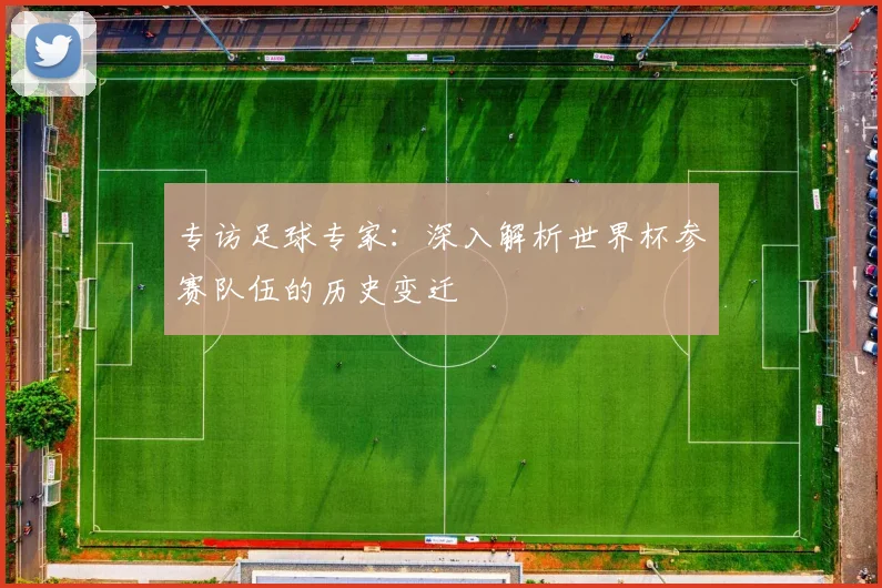 专访足球专家：深入解析世界杯参赛队伍的历史变迁